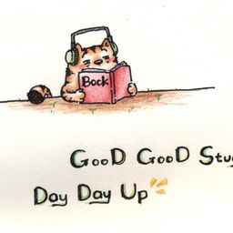 daydayup avatar