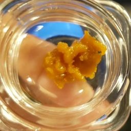 THE CHRONIC-CALS avatar