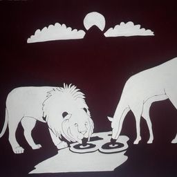 dedane avatar