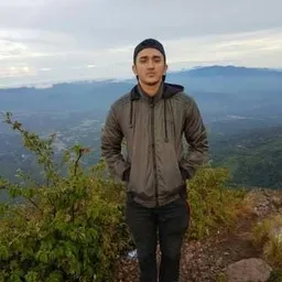 dedekgp avatar