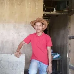 dedekpase avatar