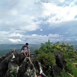 dediimulya avatar