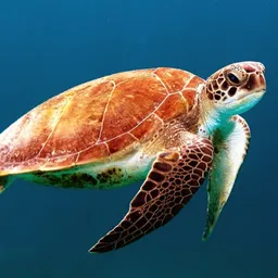 Deep Waters avatar