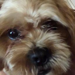 Benji avatar