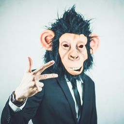 denk-mit avatar