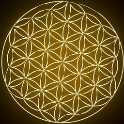 WorldOfBlockchain avatar