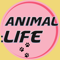 ANIMAL:LIFE avatar