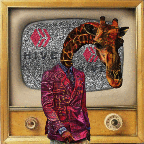 JD avatar