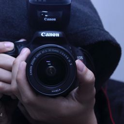DfotoS avatar