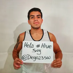 diegov23sw avatar