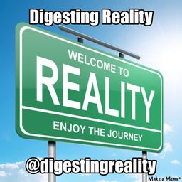Digesting Reality avatar