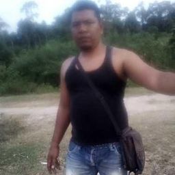 dinfanfem avatar