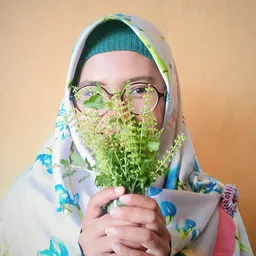 Dini Yuliana Solin avatar