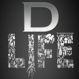 DLife Lessons avatar