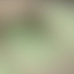 D avatar