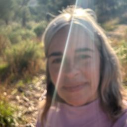 monikaurrutia avatar