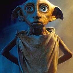 dobby72