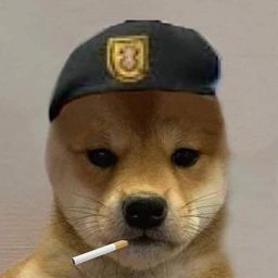 Dóge avatar