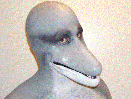 Dolphinschool avatar