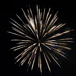 domgreg avatar
