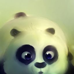 donkim20 avatar