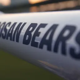 doosanbears avatar