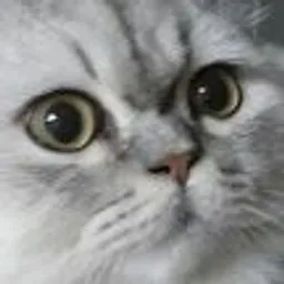 Dorian avatar