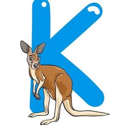 Kevin avatar