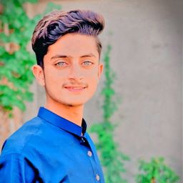 Sheraz Tipu avatar