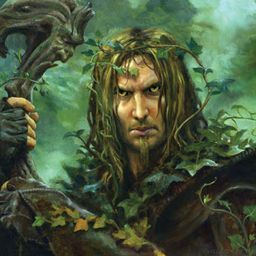 druyda avatar