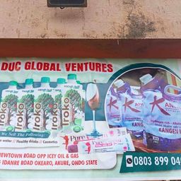 DUC GLOBAL VENTURES  avatar