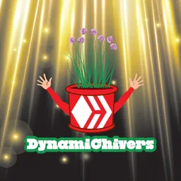 Dynamichivers avatar
