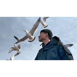 모세 avatar