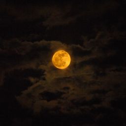 Diego DG