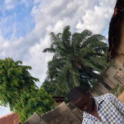 Edwincj avatar