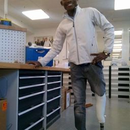 The Limb Fitter avatar