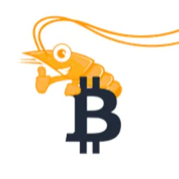 Icoshrimp avatar
