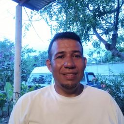 El coloso avatar