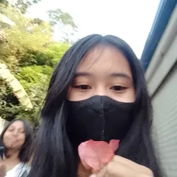 Pelecitie avatar