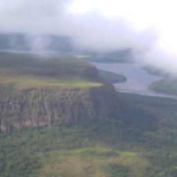 elguayanes avatar