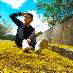 eliezerdiaz21 avatar