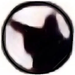 elkingplayer avatar