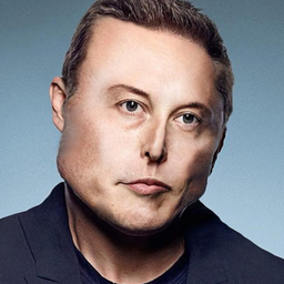 Elon Bust avatar