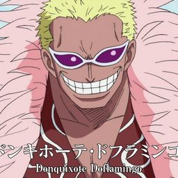 DonquioxteDoflamingo avatar