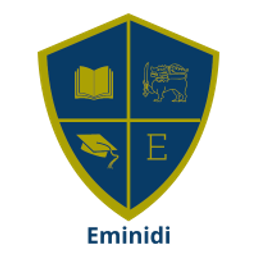 eminidi avatar