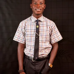 Emma Adigidzi Jnr  avatar