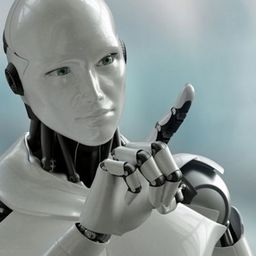 Emu123 avatar