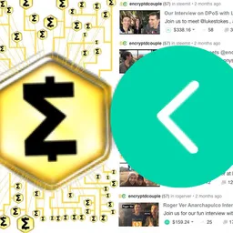 the Encrypted Couple avatar