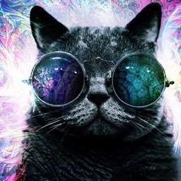 KikePrez avatar