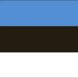 estonian e-residency avatar